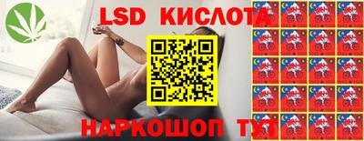 Альфа ПВП Ярославль