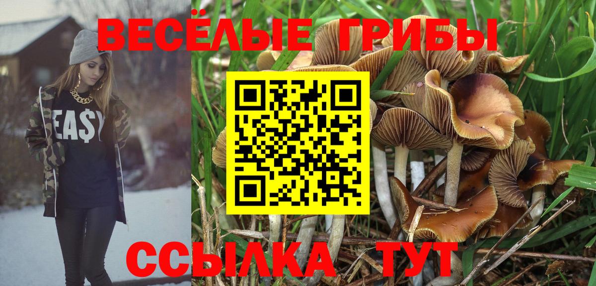 Псилоцибиновые грибы Magic Shrooms  Вход с VPN  Дзержинский 