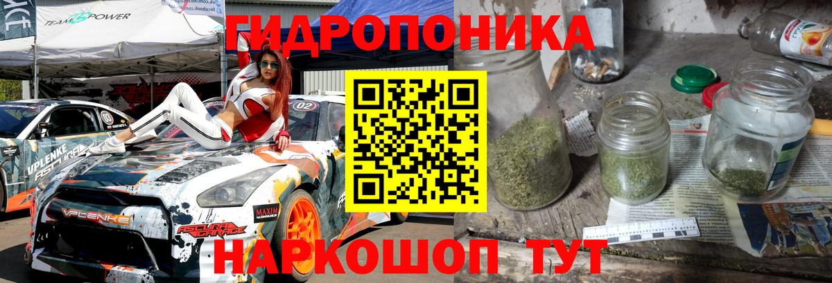 Канабис планчик  Марихуана семена  Марихуана план  Марихуана план  Дзержинский  Вход с VPN 